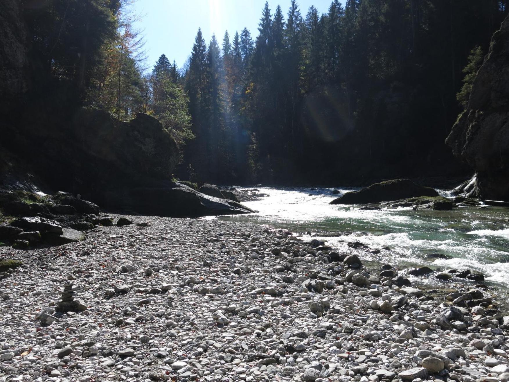 - Ammertaler Hof Saulgrub