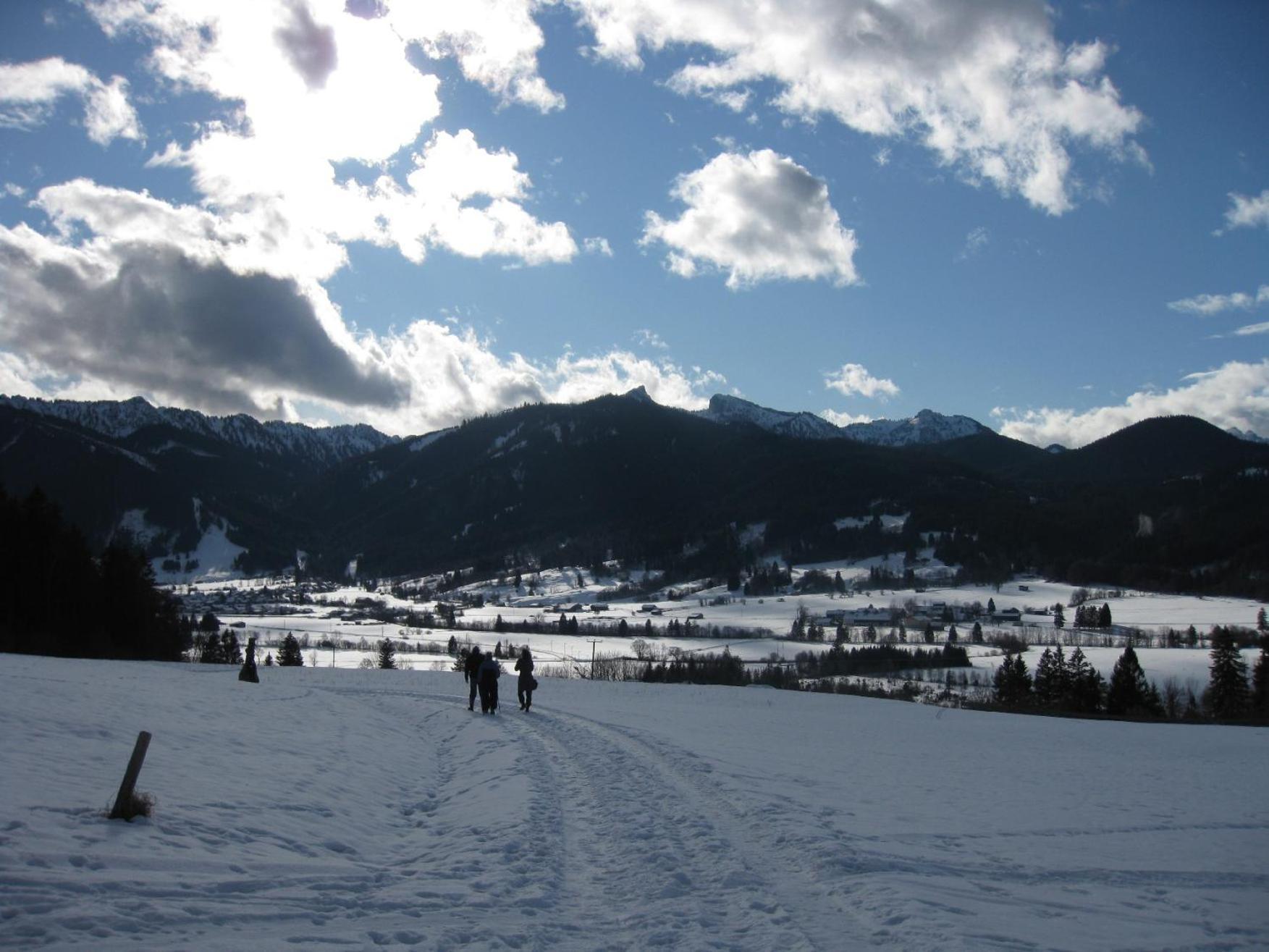 - Ammertaler Hof